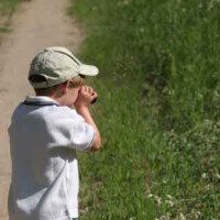 Boy on Butterfly Trip
